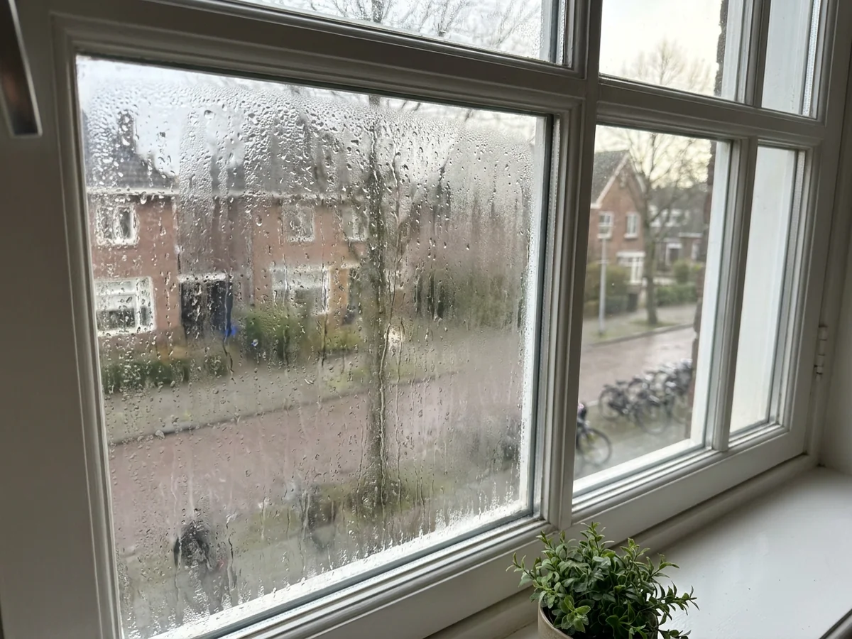 Condens op de ramen oplossen: waar het vandaan komt en wat je eraan doet